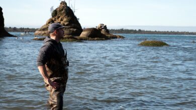 Hilton Launches New Six‑Part Eco‑Travel Docuseries