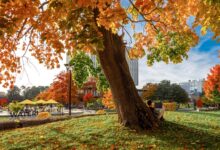 Three social entrepreneurs follow a passion to give back | Waterloo News