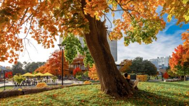 Three social entrepreneurs follow a passion to give back | Waterloo News