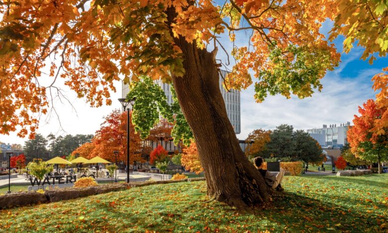 Three social entrepreneurs follow a passion to give back | Waterloo News