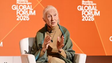 What Jane Goodall said in her last video message before her death