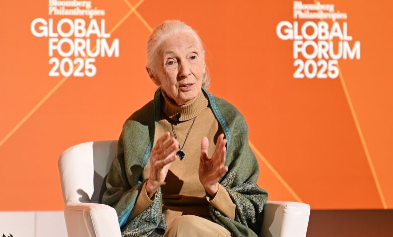 What Jane Goodall said in her last video message before her death