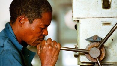 On World Social Justice Day, the UN labour agency says ‘put people and planet first’